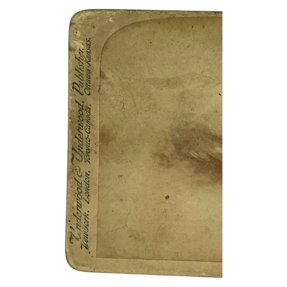 Underwood & Underwood Stereoview Among‎ the Clouds 11000 Ft California Antique
